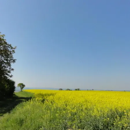 Maison En Pierres Renovee Avec Cour Close Et Terrasse Privee, Animaux Admis, Parking, Wi-fi - Fr-1-489-271 Charroux-dʼAllier